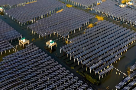 悟空体育官网入口
技术的种类及应用领域